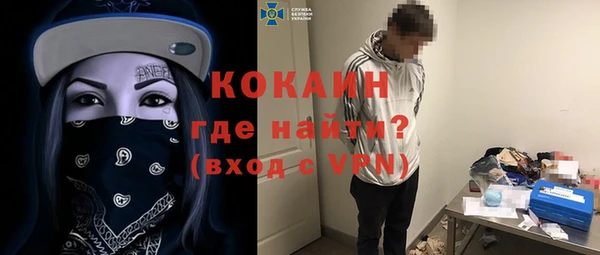 спайс Каменка