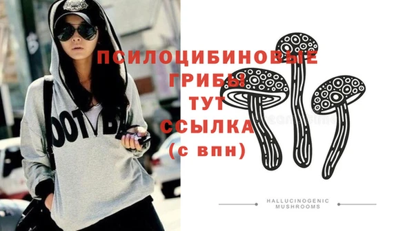 спайс Каменка